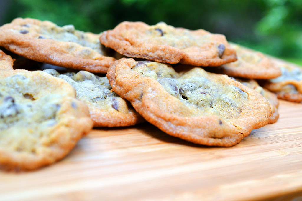 chocchipicecreamsammies1