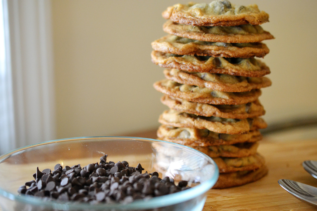 chocchipicecreamsammies2
