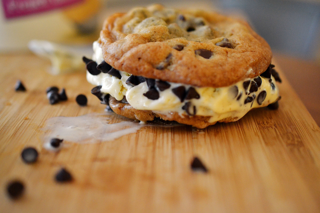 chocchipicecreamsammies7