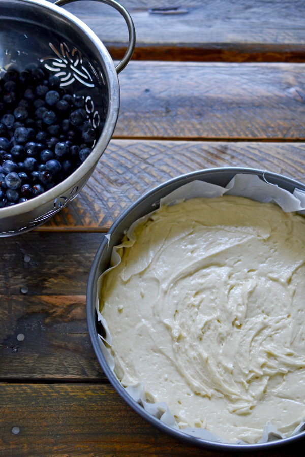 blueberry-greek-yogurt-cake-1