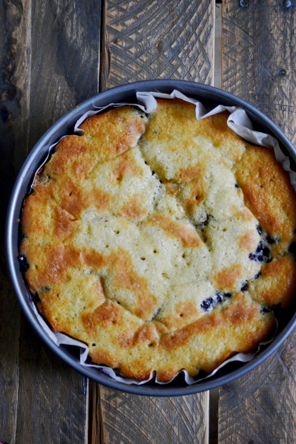 blueberry-greek-yogurt-cake-4