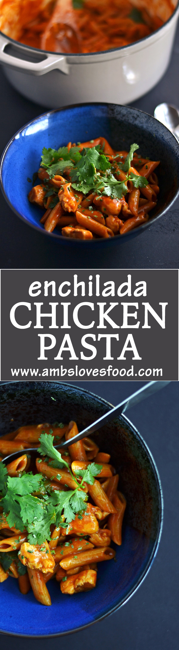 ENCHILADA-PASTA-PIN