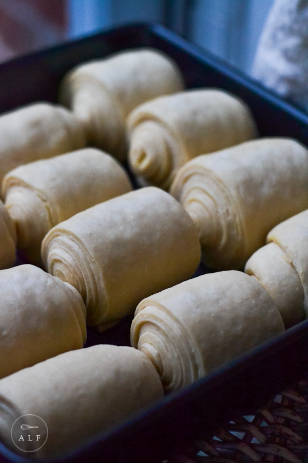 HONEY BUTTER YEAST ROLLS